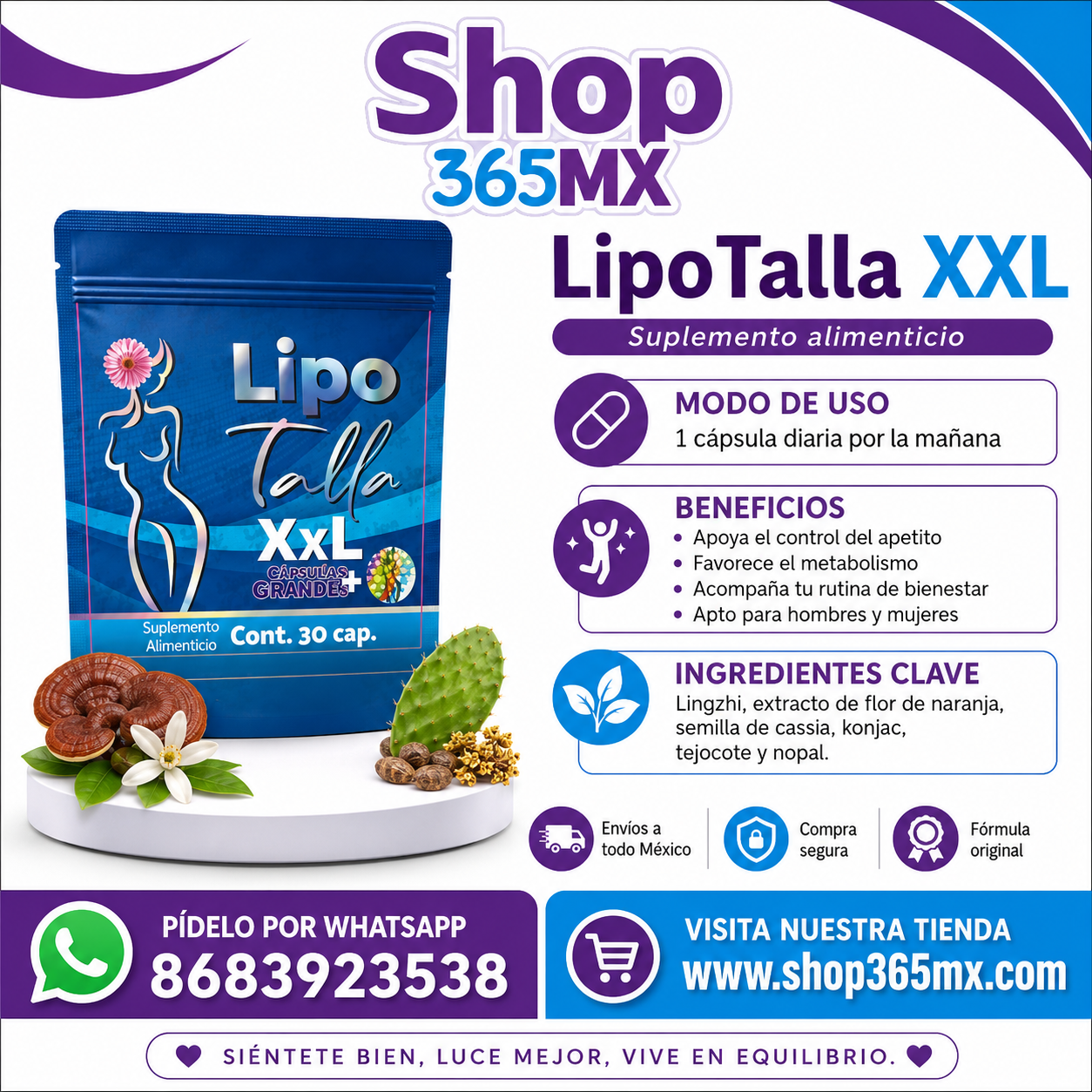 Lipotalla XXL